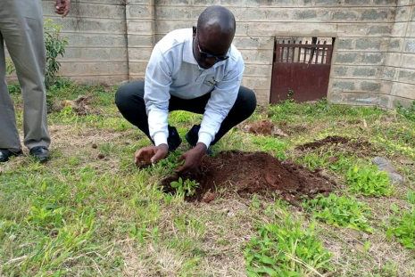 CASELAP Director planting a tree