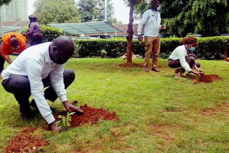Tree planting exercise by members of staff from CASELAP and the School of Law
